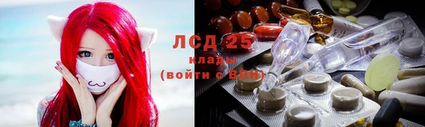 гашик Алексин