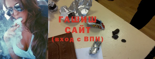 гашик Алексин