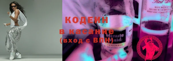 гашик Алексин