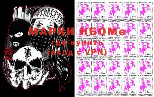 гашик Алексин
