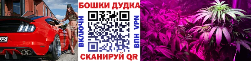 Шишки марихуана сатива  Купить где  Сорск 